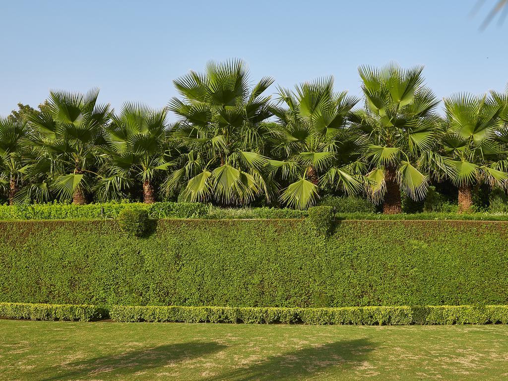 Club Mahindra Kandāghāt Esterno foto
